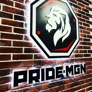 Pride оценочная компания. Прайд магнитогорск. Прайд магнитогорск. Прайд мма логотип. Прайд магнитогорск.