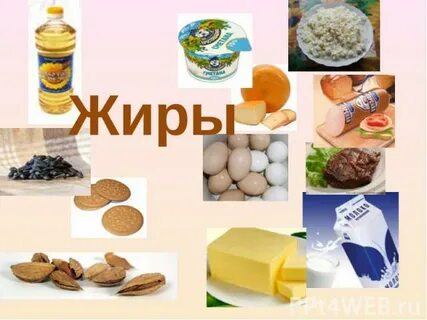 Ел жир