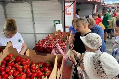 Ярмарка петрозаводск 2024 осень