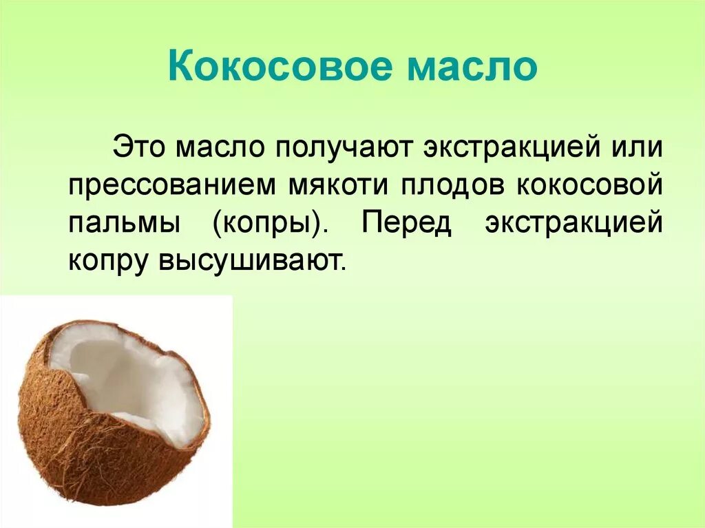 Кокос для презентации. Кокосовое масло и пальмовое масло. Кокос строение плода. Кокосовое масло презентация.