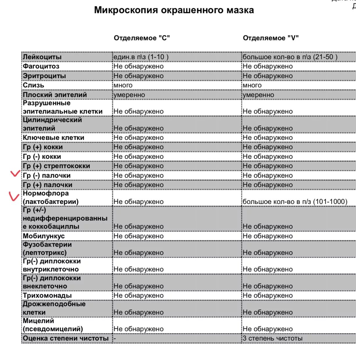 Грамм палочки в мазке у мужчин. Грам палочки в мазке у женщин норма. Гр палочки в мазке норма. Палочки грамм умеренно в мазке у женщин. Lactobacillus spp у мужчин