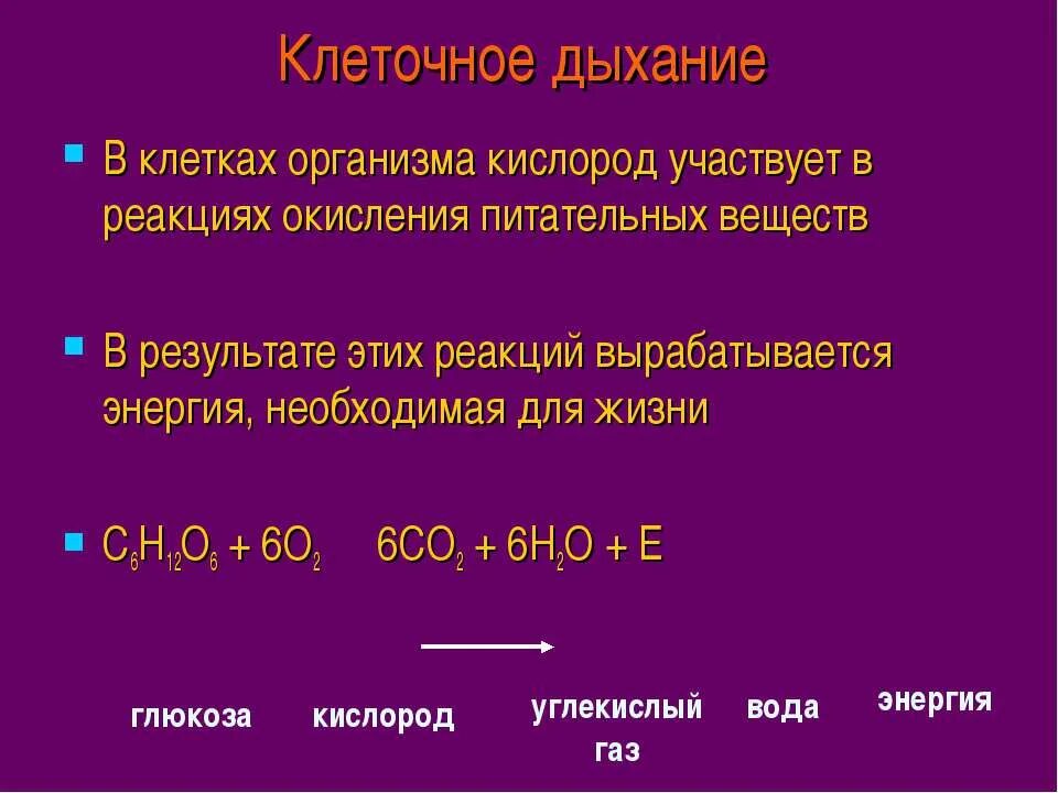 Изменения дыхания клеток. Клеточное дыхание. Клеточное дыхание схема. Кислородное дыхание клетки. Какие клетки участвуют в переносе кислорода в организме.