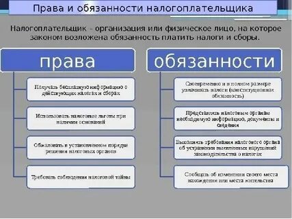 Ответственность налогоплательщика и налоговых органов