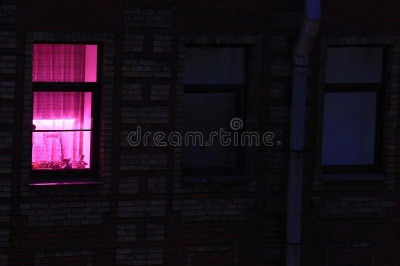 Розовые окна в домах. Фиолетовые окна в домах. Розовый свет в окнах. Фиолетовый свет в окнах домов. Розовый свет в окнах жилых