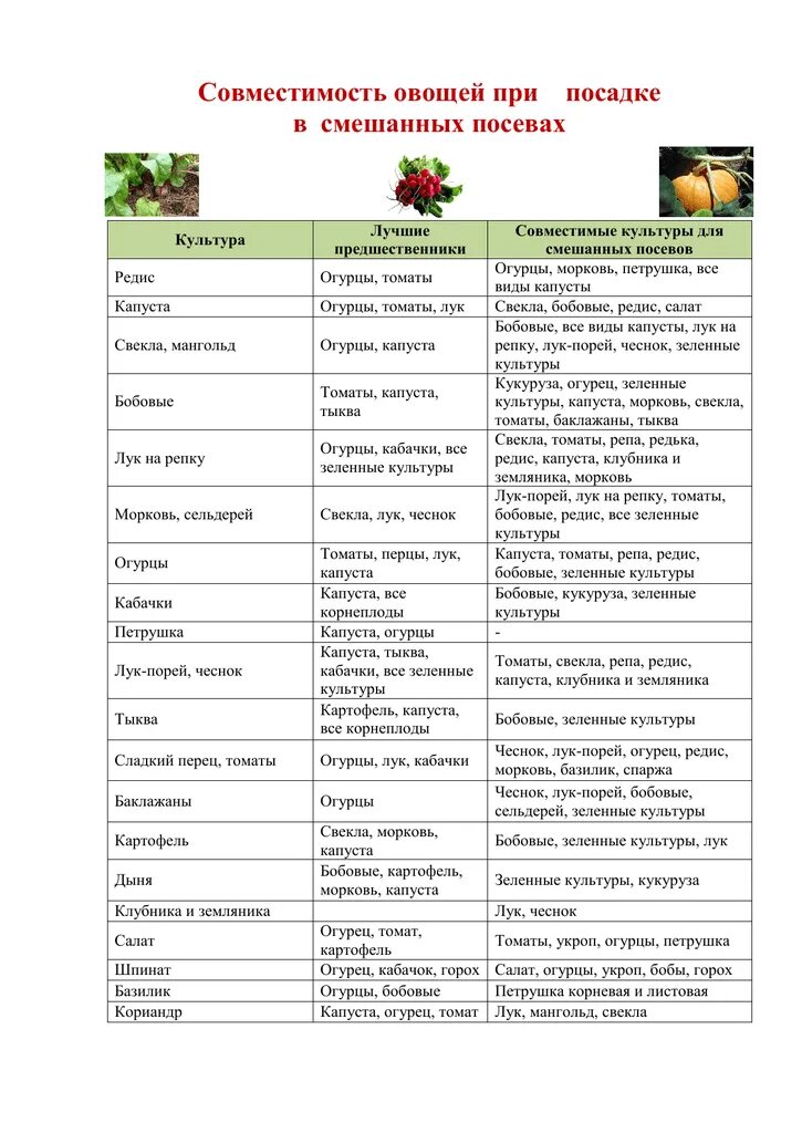 Какие культуры можно сажать после огурцов. Севооборот овощных культур на дачном участке таблица. Посадка овощей предшественники таблица. Чередование посадок овощных культур таблица. Таблица посадки овощных культур предшественники соседство.