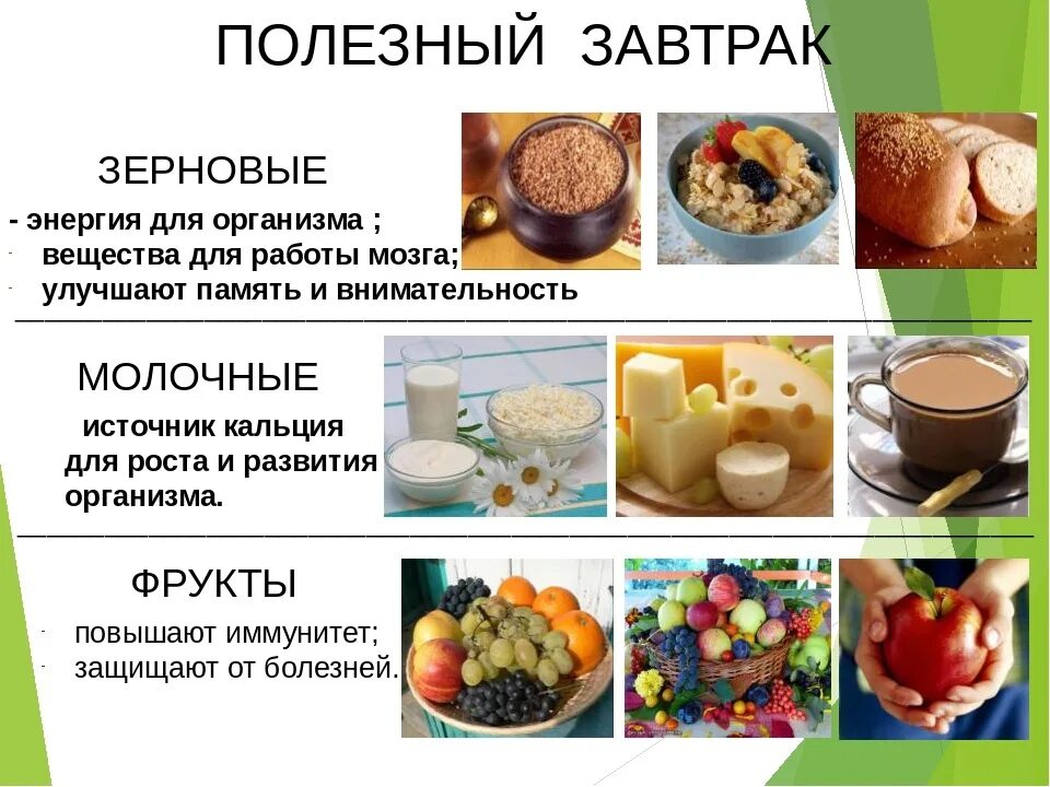 Исследовательская работа питание