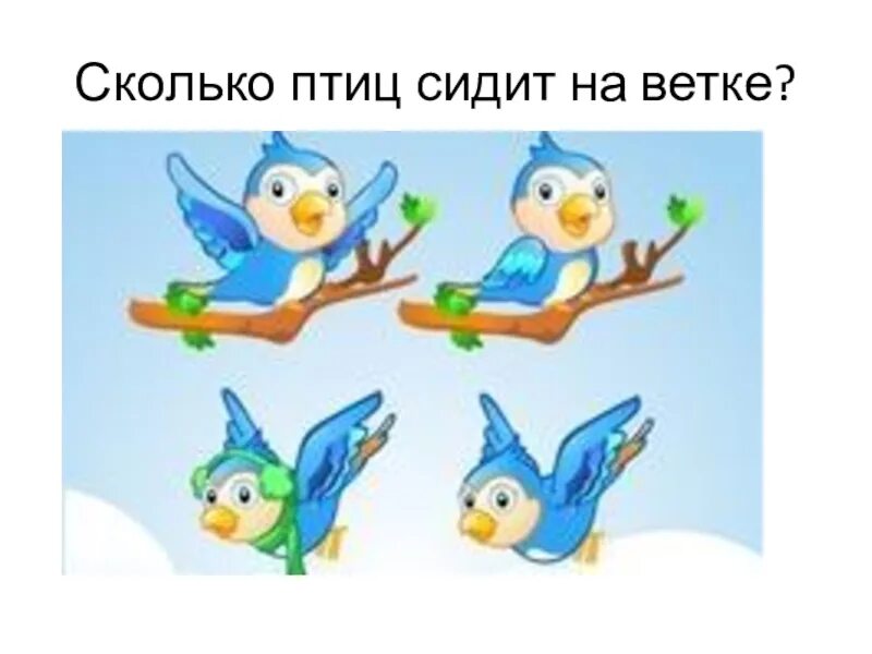 Сколько сидят на ветке