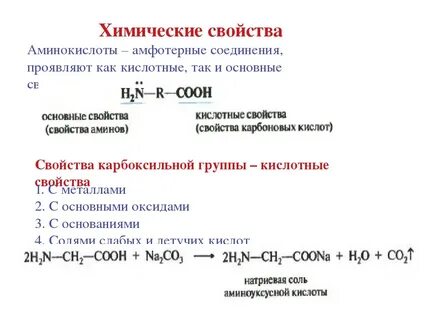 Амины свойства кратко