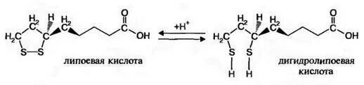 Дигидролипоевая кислота формула. Альфа липоевая кислота формула. Липоевая кислота химическое строение. Ацетигидролипоевая кислота формула.