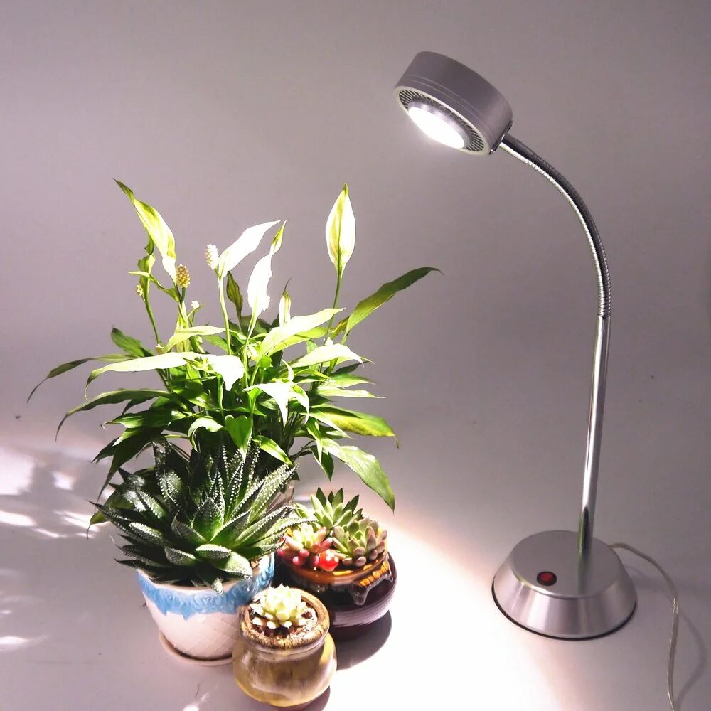 Led лампа для растений 6500к. Светильник 6500к светодиодный для растений. Фитолампа для бонсай. Лампа Garden show. Лучшая подсветка для цветов