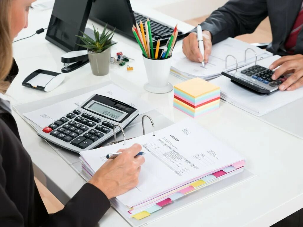 Главный аудитор. Курсы аудиторов. Аудитор фон. Аудитор фон. Экономист фирмы и предприятия.