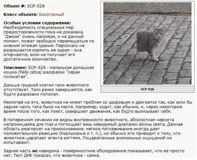 Scp 5150 на русском