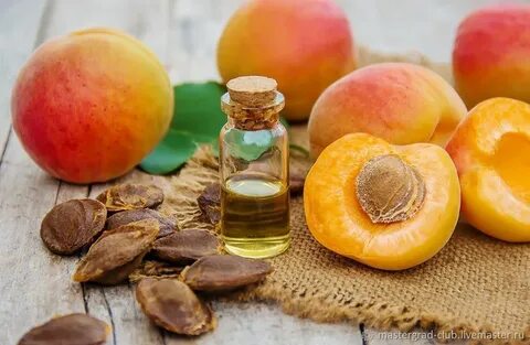 Prunus armeniaca oil