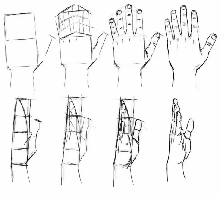 Кисть сбоку рисунок. Как правильно нарисовать кисть руки. Кисти рук для рисования. Этапы рисования рук.