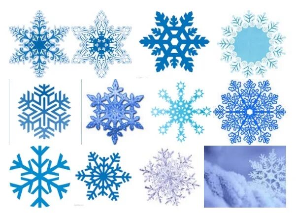 снежинки разной формы. разнообразие снежинок. снежинки какие. формы снежинок в природе. разнообразные снежинки.