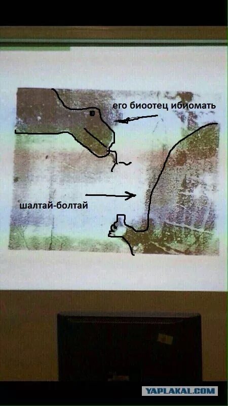 тень коровы игра для детей. корова. найди корову сайт.