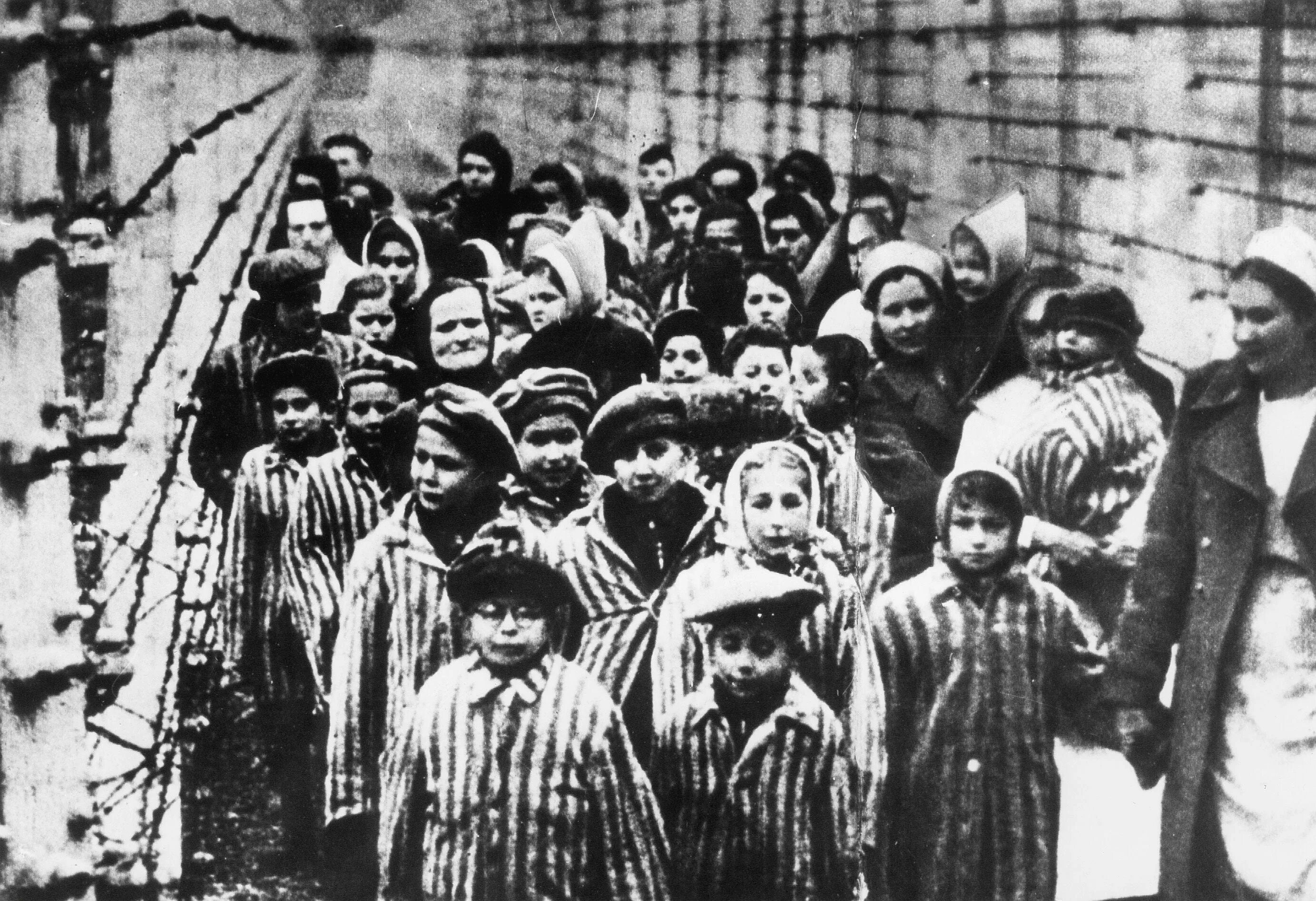 Узники освенцима…. Узники освенцима…. Дети концлагерей. Дети холокоста фото. Дети холокоста фото.
