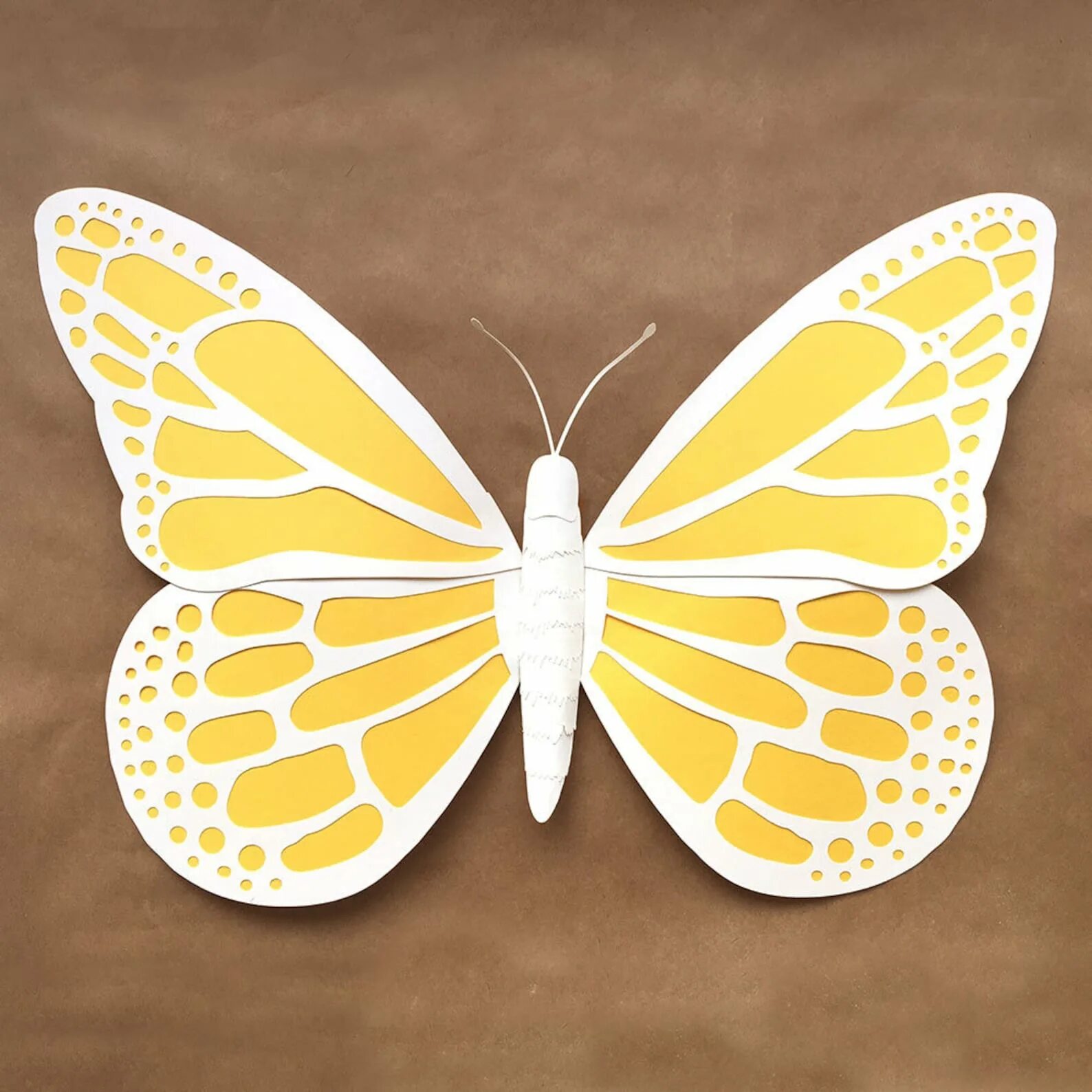 Бабочка из бумаги. Объемные бабочки. Объемные бабочки из бумаги. Бабочка из бумаги своими руками. Объемная бабочка из бумаги своими руками
