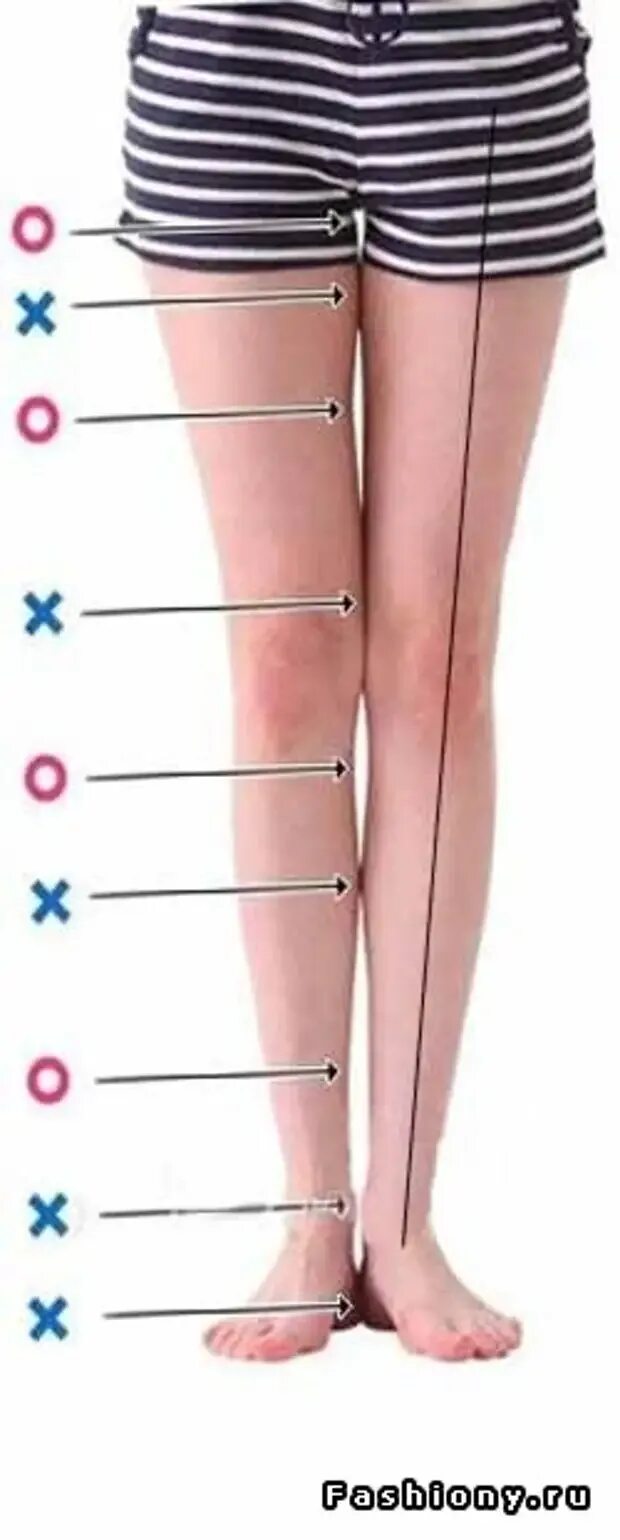 Идеальная форма ног. Идеальные ноги. Идеальные ноги параметры. Идеальная форма женских ног. Дырочки что надо