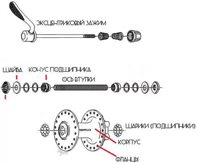Разбор колеса велосипеда. Втулка колеса велосипеда схема. Велосипед стелс горный втулка заднего колеса. Втулка заднего колеса велосипеда скоростного велосипеда. Схема установки заднего колеса велосипеда.