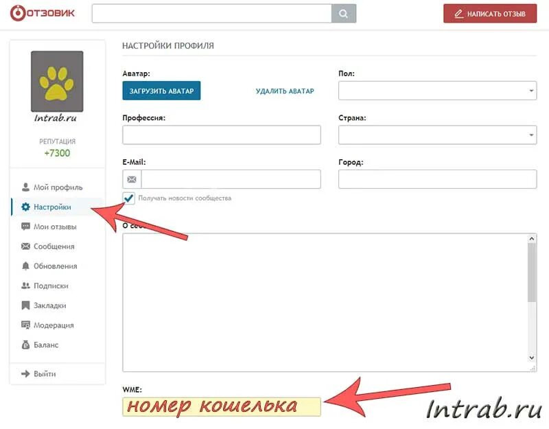 как вывести деньги с вконтакте. как вывести деньги с плеерок. вывод средств с omg. вывод средств на карту сбербанка. как вывести деньги с программы элемент.