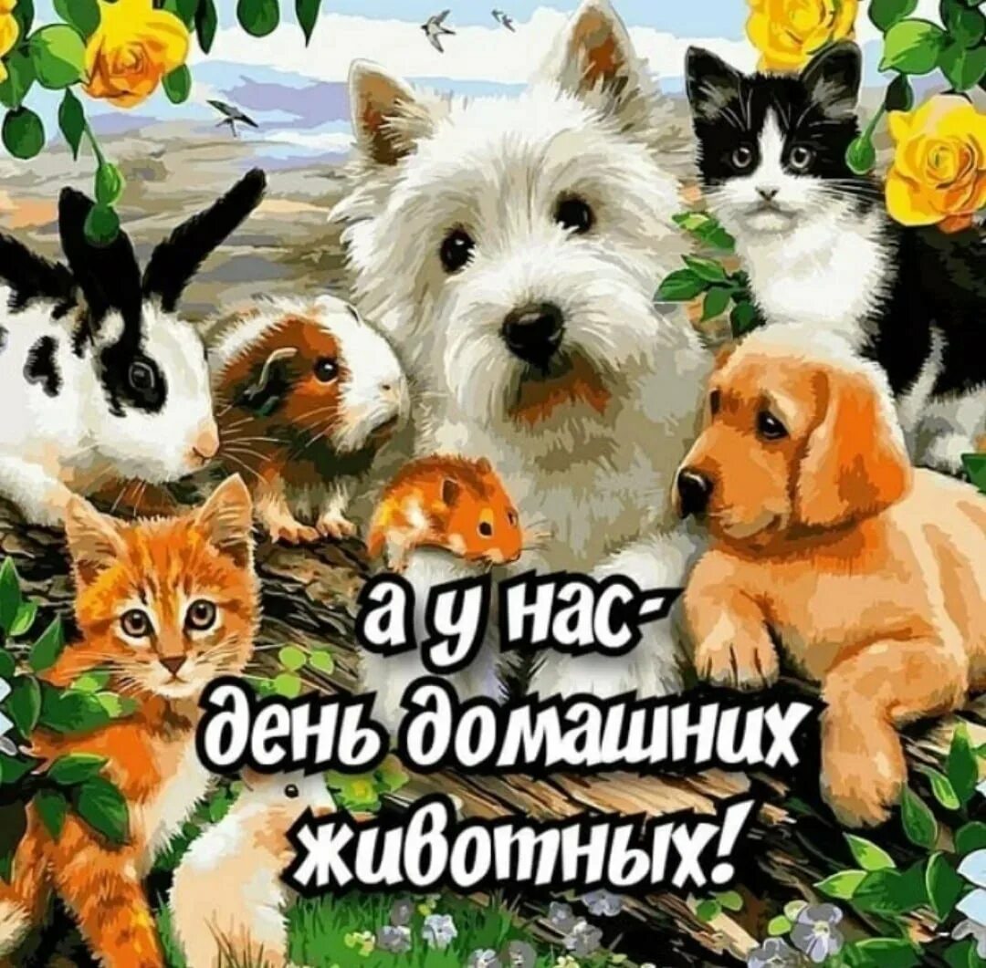 День домашних животных. Всемирный день домашних животных. День домашних животных открытки. Поздравление с днем домашних животных.