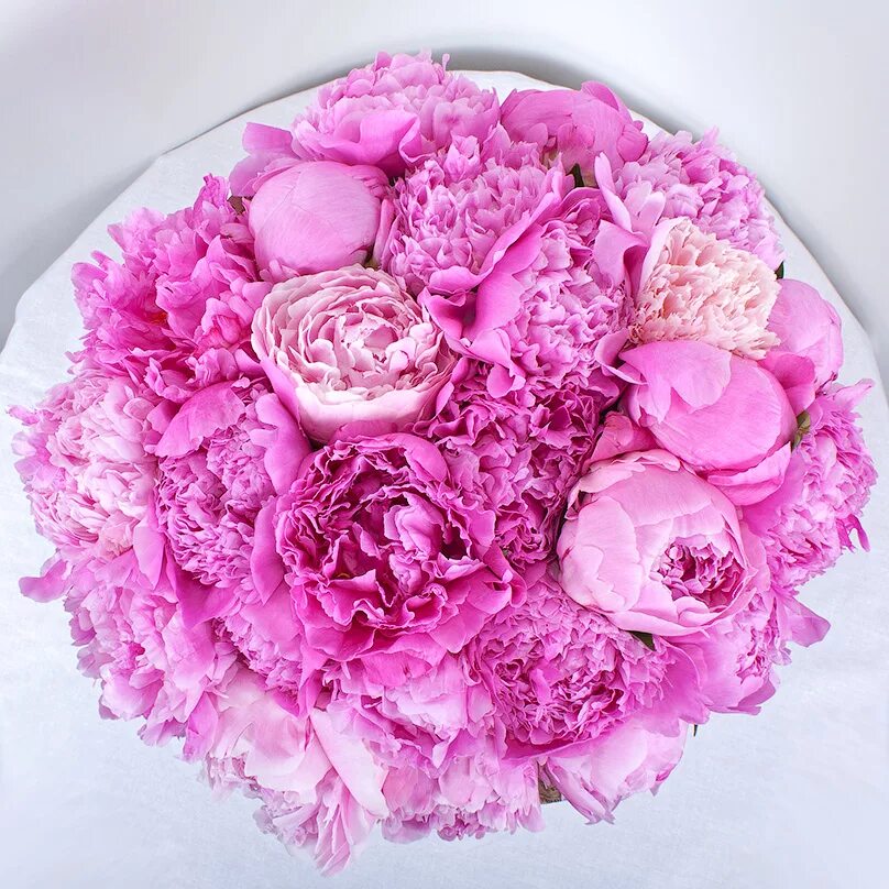 Пионы кемерово. Bouquet perfect'пион. Пудровые пионы. Букет из розовых пионов.