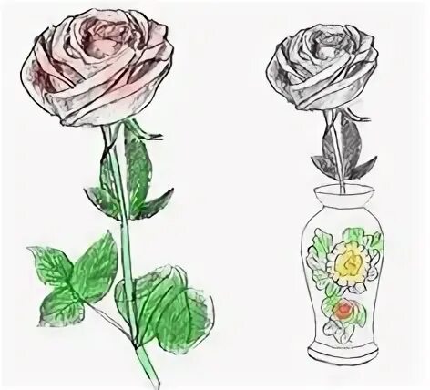 Как нарисовать розы в вазе