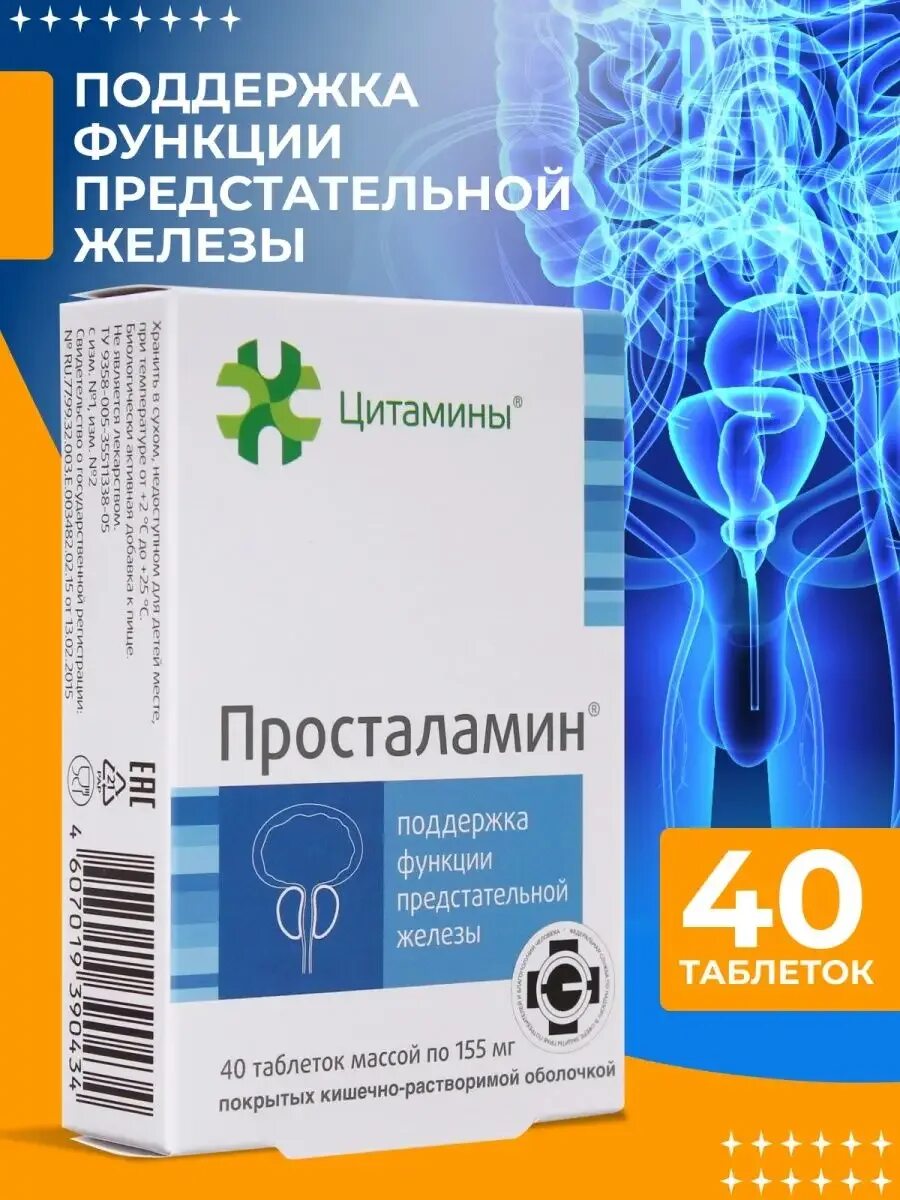 Просталамин инструкция по применению при простатите таблетки. Просталамин таблетки. цитамины. цитамины для кишечника.