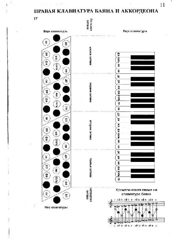 Уроки на баяне для начинающих. Левая клавиатура аккордеона табулатура. Аккорд GM на аккордеоне. Левая клавиатура боянетабулатура. Трехрядный баян расположение нот.