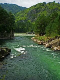 Катунь горная река