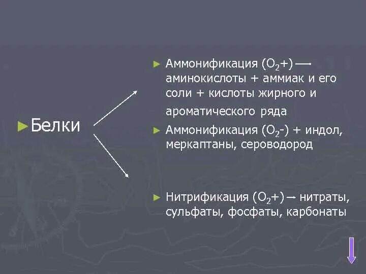 Аминокислота и аммиак. Аммонификация кратко. Аммиак и сероводород. Аммонификация