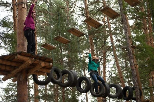 Веревочный парк чита. Канатный парк хамелеон Чита. Веревочный парк хамелеон.