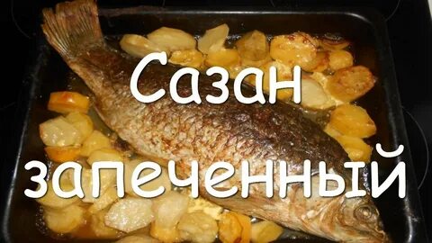 Вкусное приготовление сазана