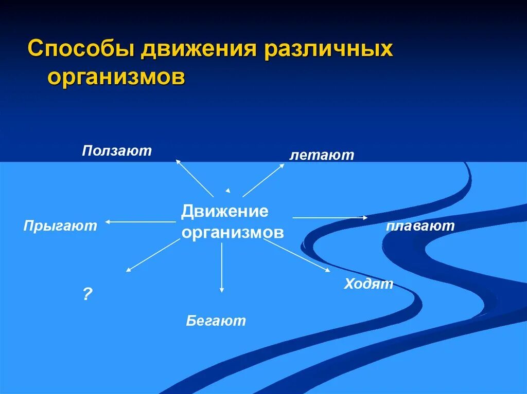 Движение 6 класс. Движение живых организмов. Способы передвижения живых организмов. Способы движения различных организмов. Биология тема движение.