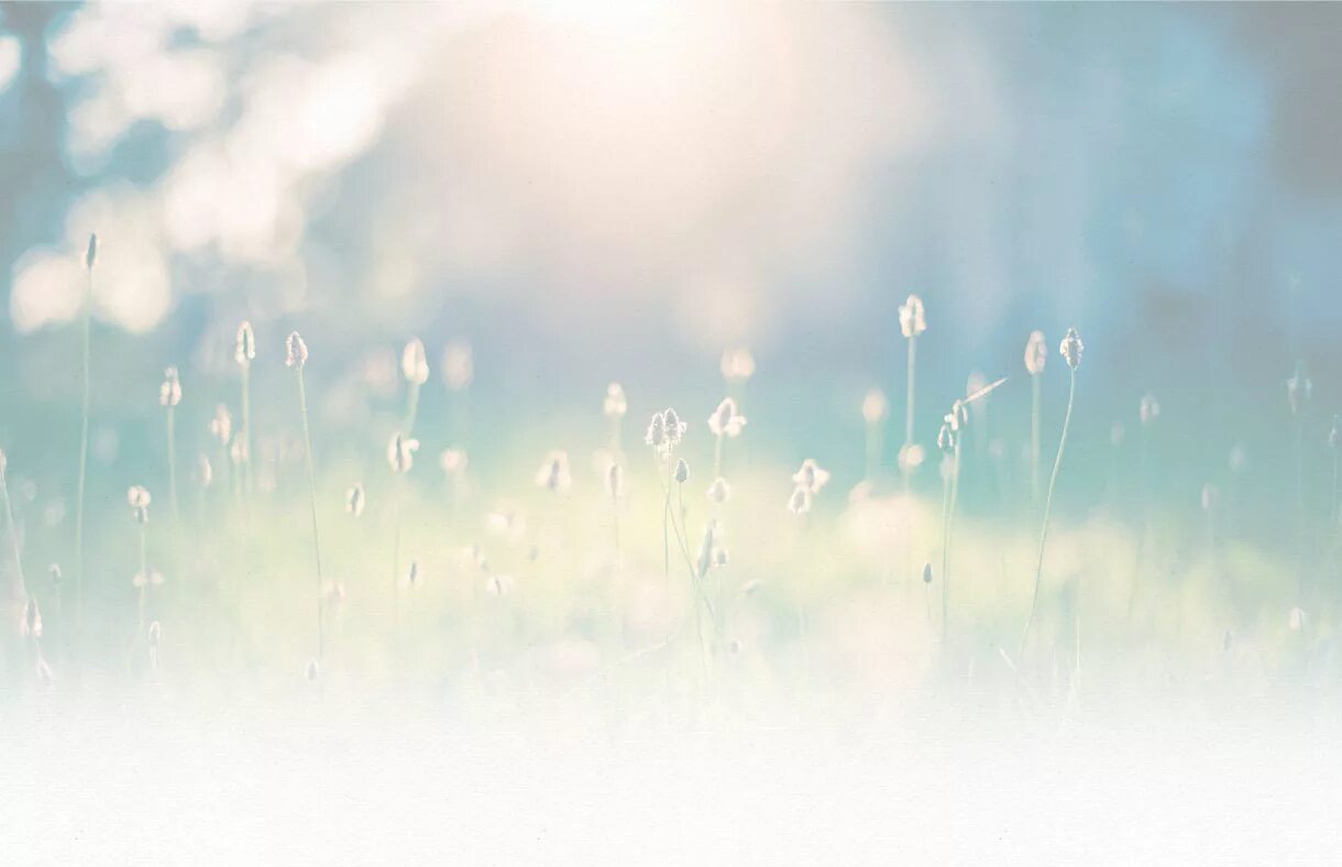 Baby bg. Фоны детские однотонные. Baby bg. Красивые младенцы. Милые картинки для фона.