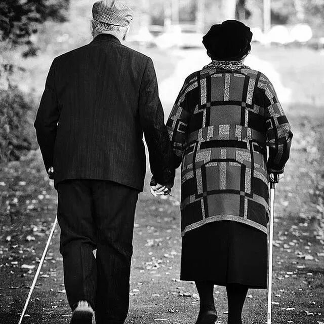 Раз раз стариков старух. Пожилые люди. Бабушка с дедушкой идут. Бабушка и дедушка спиной. Старики за руку.
