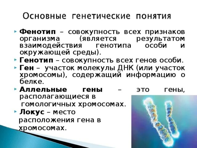 Геном называют