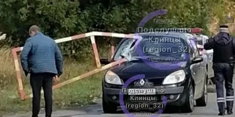 Нелепые новости