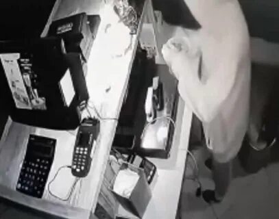 Кража до 1000