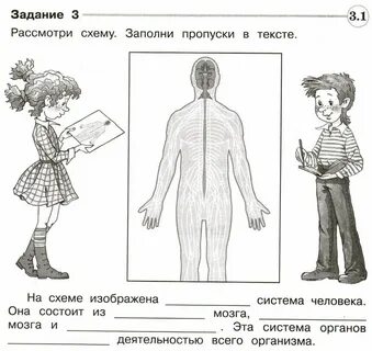 Не смотря на схему