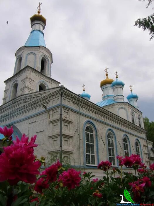 Церковь шахунья. Церковь шахунья