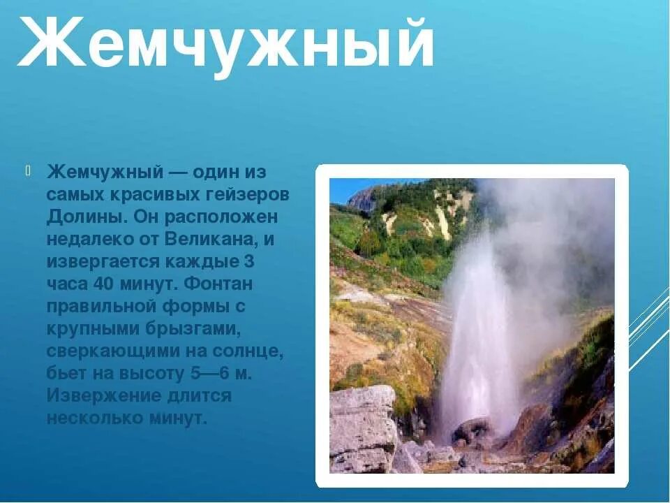 Долина гейзеров, камчатка, дальний восток. Долина гейзеров камчатка схема. Схема долины гейзеров. Малая долина гейзеров камчатка. Флора и фауна долины гейзеров на камчатке.