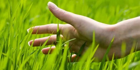 Touch grass
