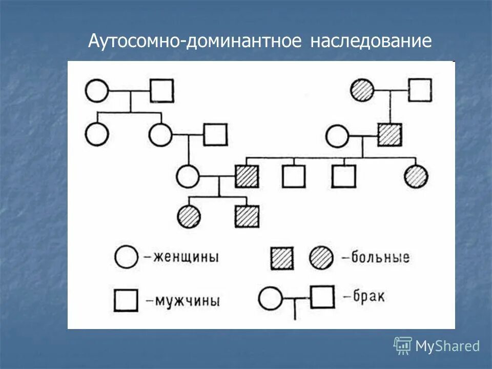 критерии аутосомно доминантного типа наследования