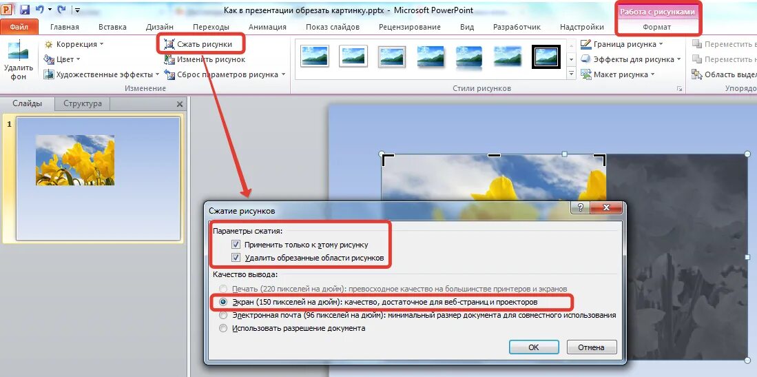 Как вырезать картинку в презентации. Как обрезать фотографию в презентации. Обрезка картинки для презентации. Как удалить картинку из презентации. Как обрезать фото в повер поинте
