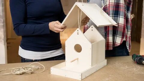 Build nesting boxes