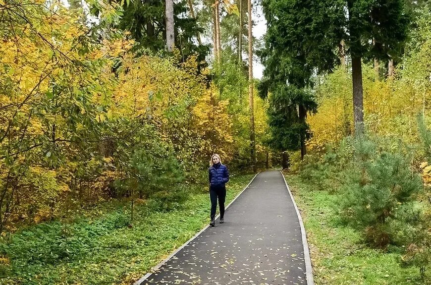 Тропа народа. Тропа в Балашихе. Пешеходная тропа. Народные тропы Подмосковья. Дорожки народные тропы.