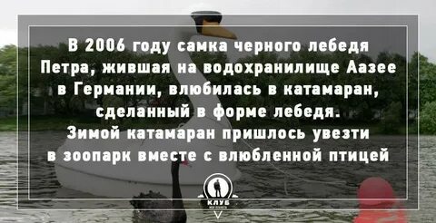 Факты о любви