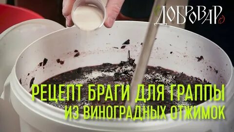 Виноградная брага для самогона рецепт